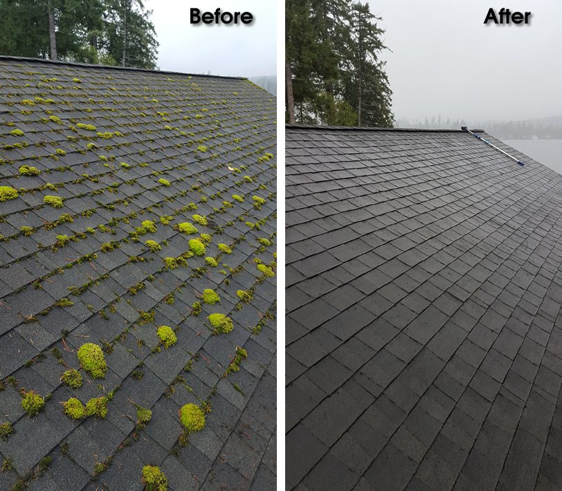 The Main Principles Of Roof Cleaning Clearwater 